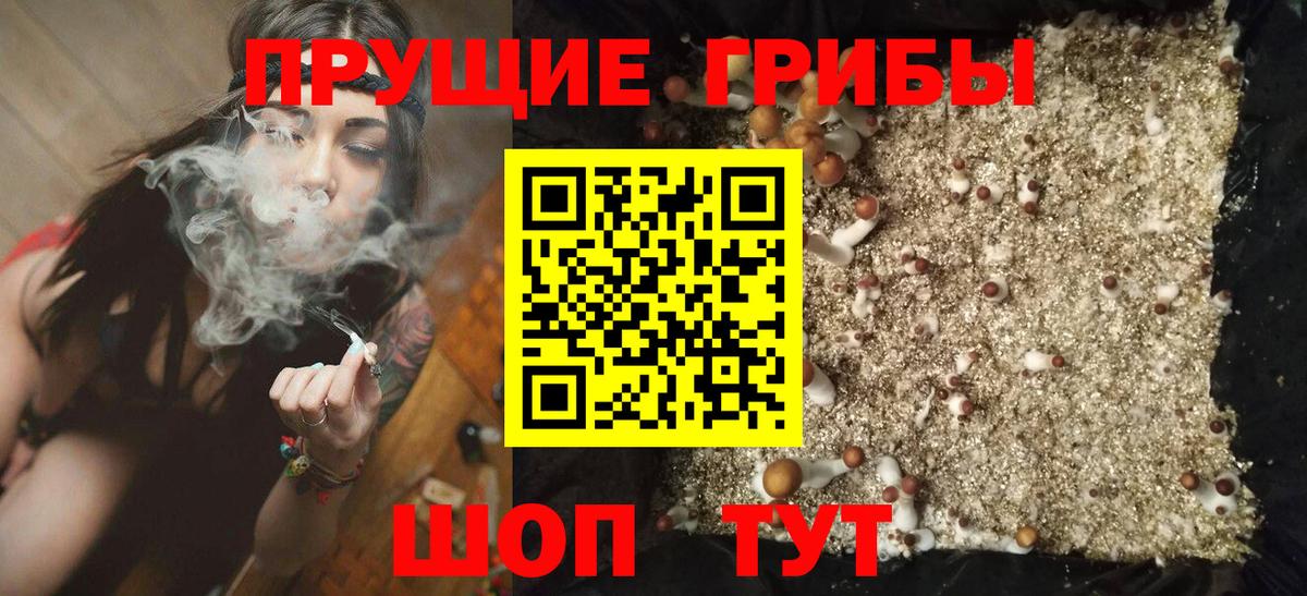 Великие Луки  Галлюциногенные грибы MAGIC MUSHROOMS  Вход с VPN 