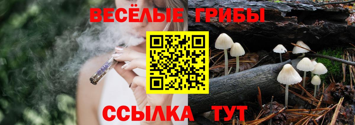 Галлюциногенные грибы Cubensis Великие Луки
